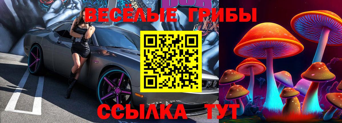 цены наркотик  Вход с VPN  Псков  Псилоцибиновые грибы Psilocybine cubensis  Псилоцибиновые грибы Psilocybe 