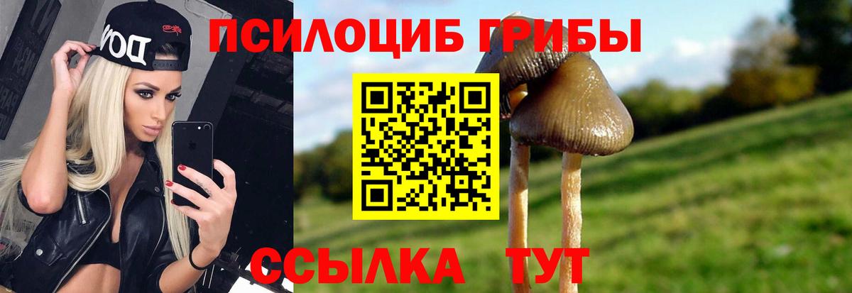 Псилоцибиновые грибы мицелий Псков